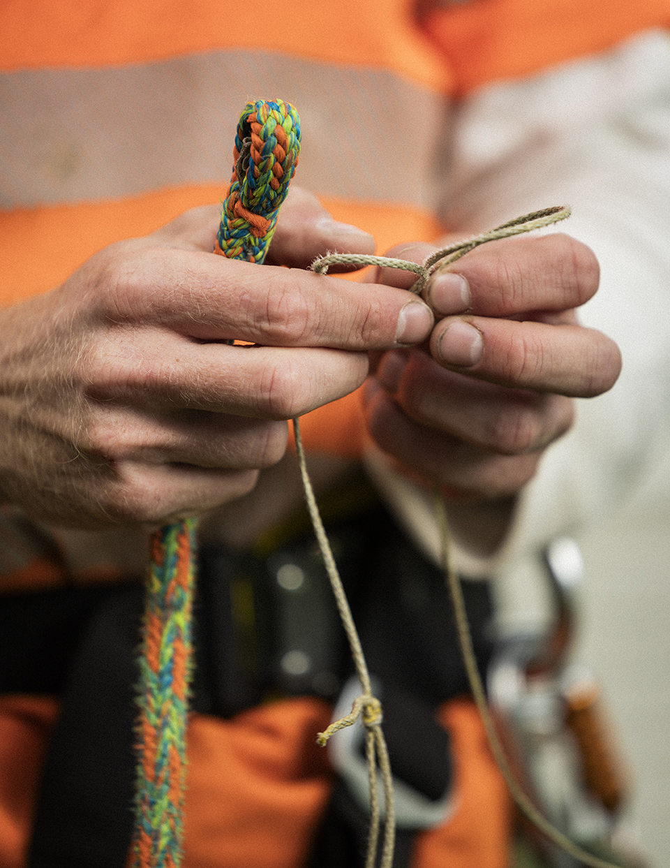 Torp i lantlig miljö